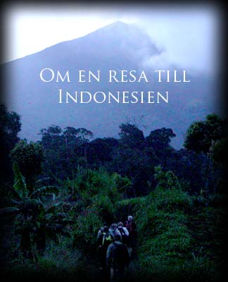 Bildspel om Indonesien av Gebbe Björkman