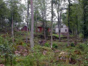 Gebbe Bjrkman - Projekt Hallngen