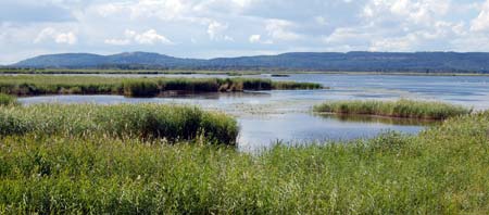 Utsikt ver Tkern mot Omberg - foto Gebbe Bjrkman