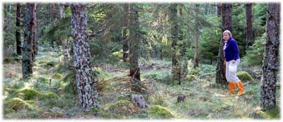 Ulla i svampskogen - foto Gebbe Bjrkman