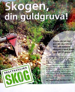 Nytt hot mot den biologiska mngfalden i skogen. foto Gebbe Bjrkman