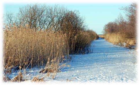 Vinter i en av Tkerns vasskanaler - foto Gebbe Bjrkman