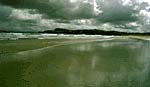 Low tide in the bay