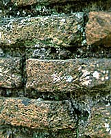 Gamla stadsmuren (Old Town Wall)