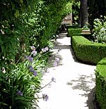 Alhambra - IV